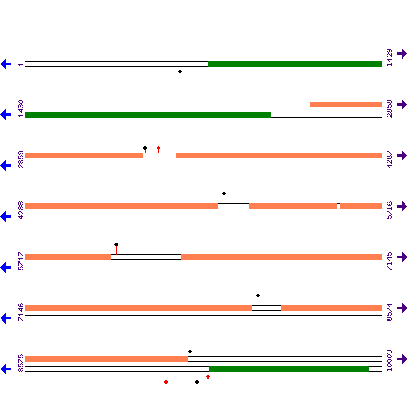 Genome View