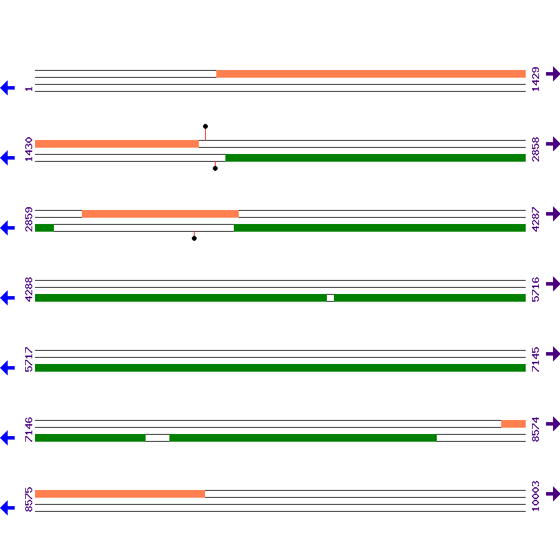 Genome View