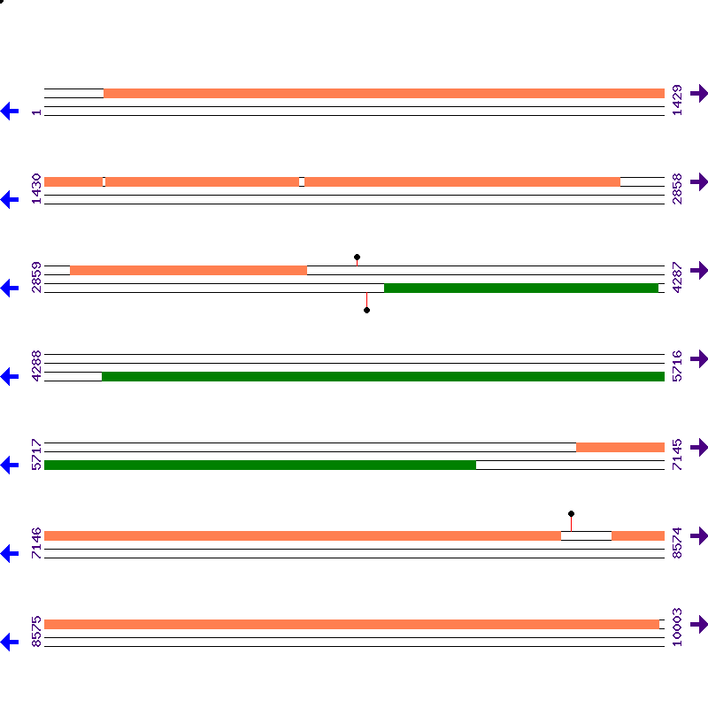 Genome View