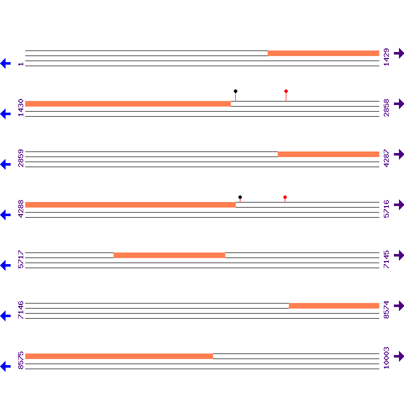 Genome View