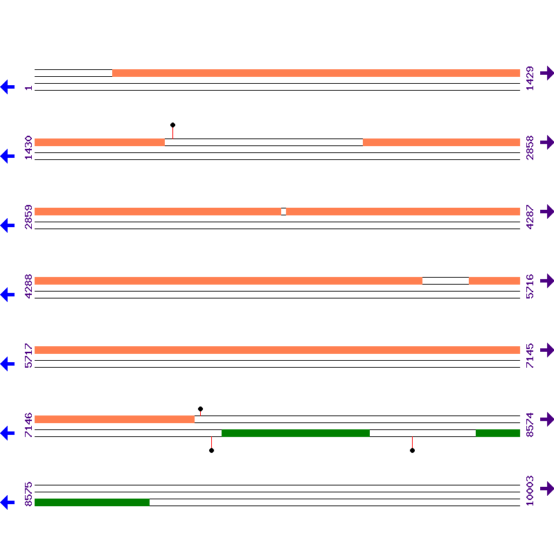 Genome View