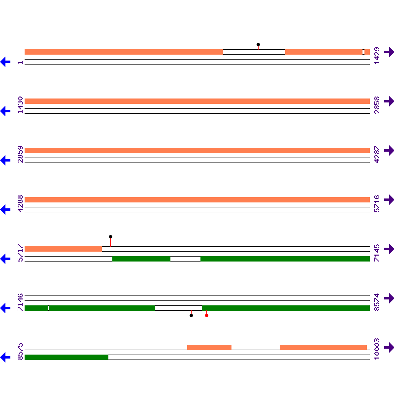 Genome View