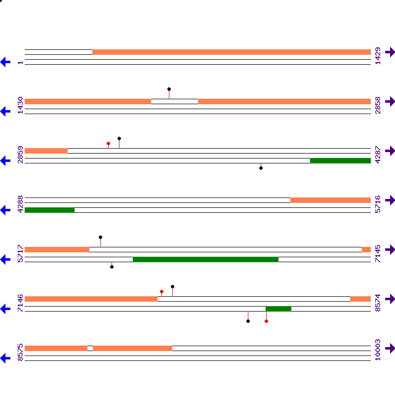 Genome View