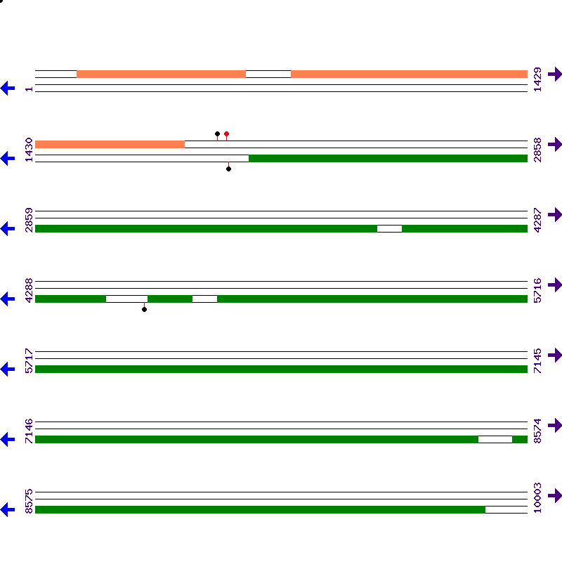 Genome View