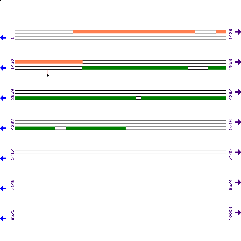 Genome View