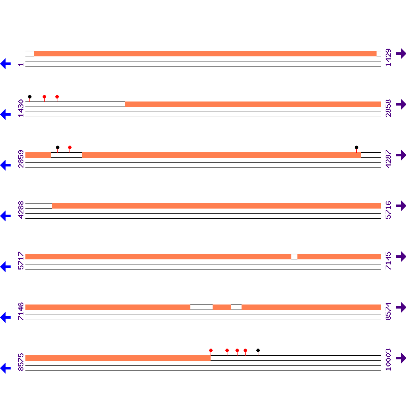 Genome View