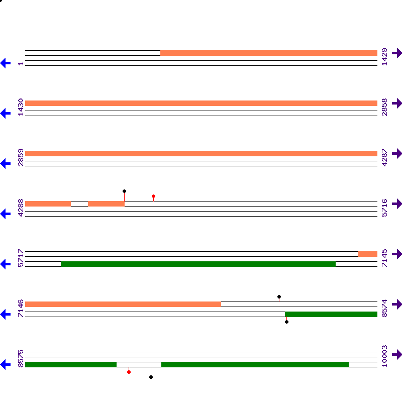 Genome View