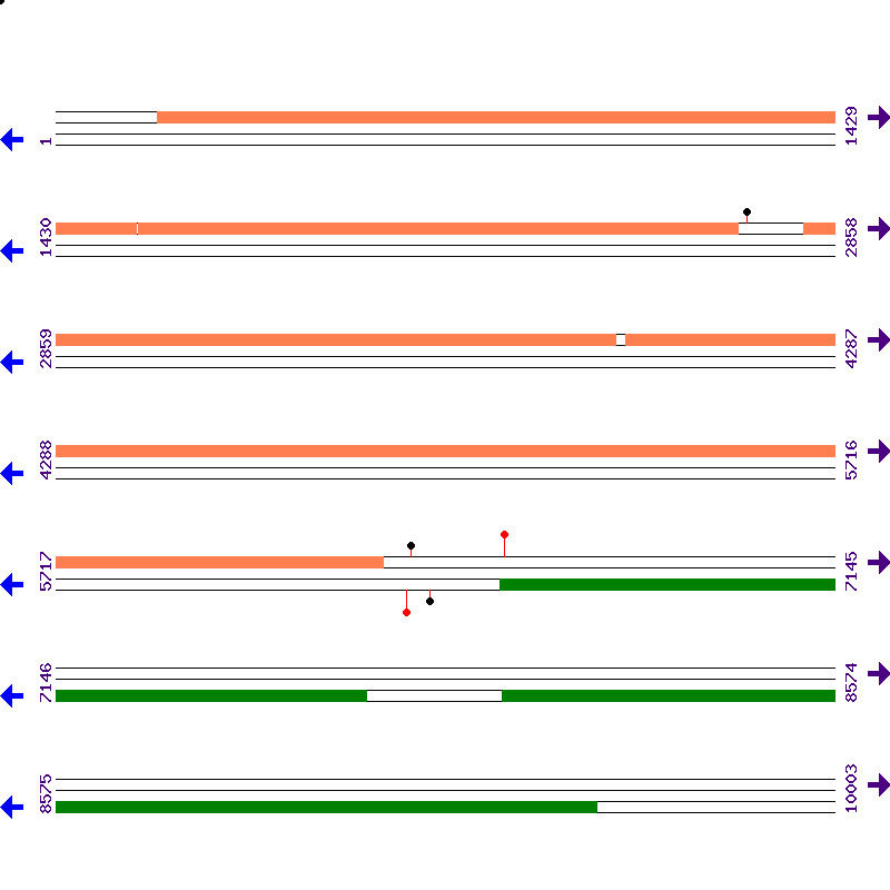 Genome View