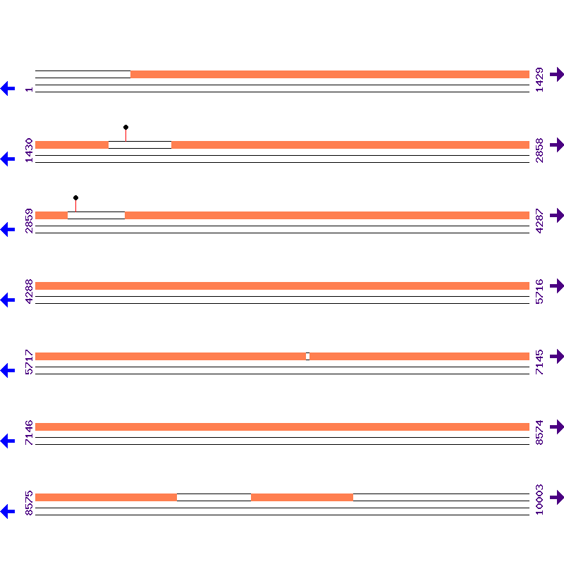Genome View