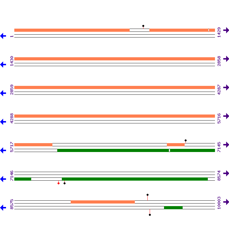 Genome View