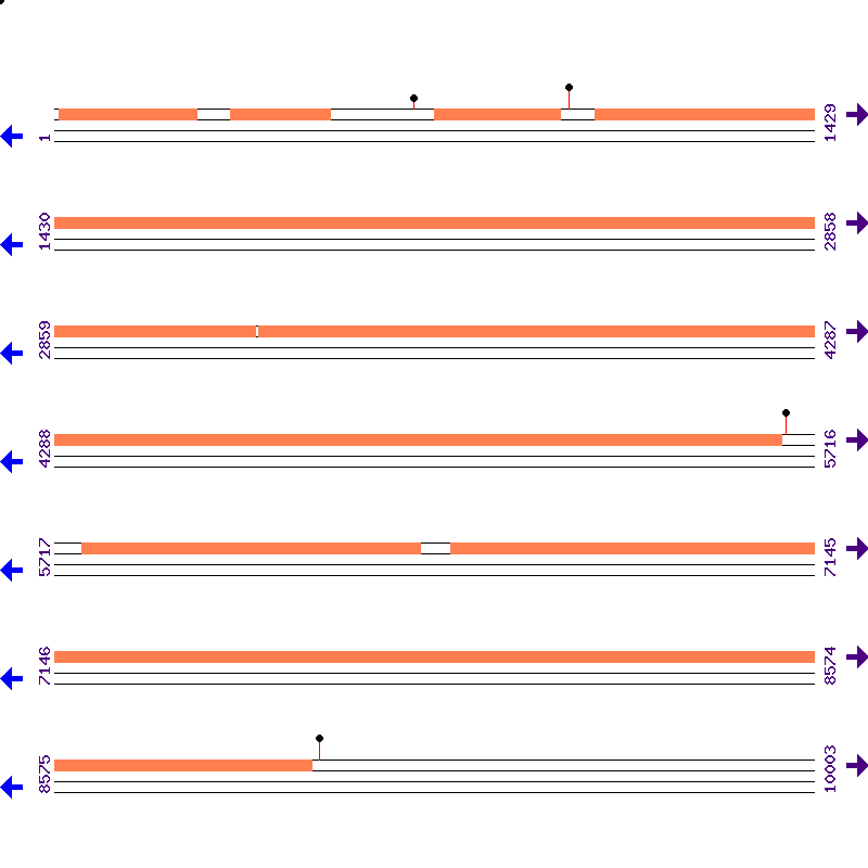 Genome View