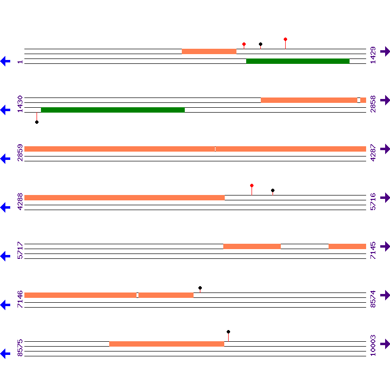 Genome View
