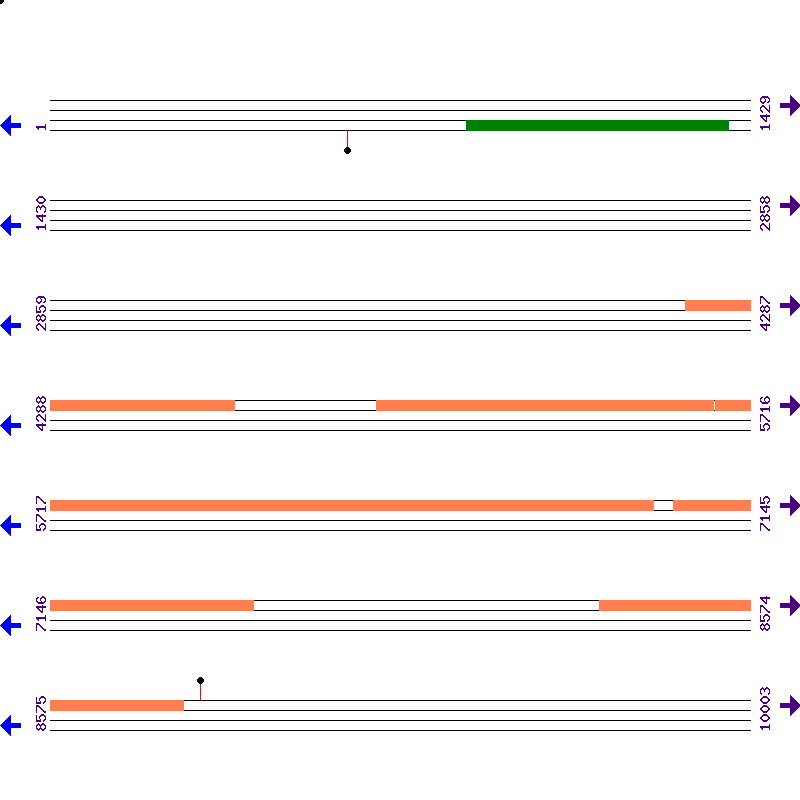 Genome View