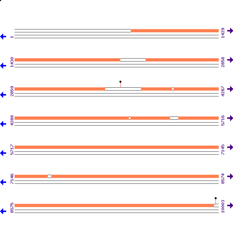Genome View