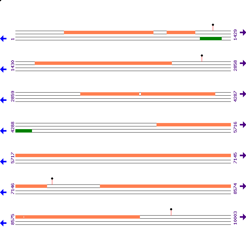 Genome View
