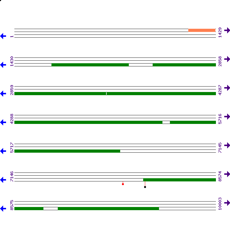 Genome View