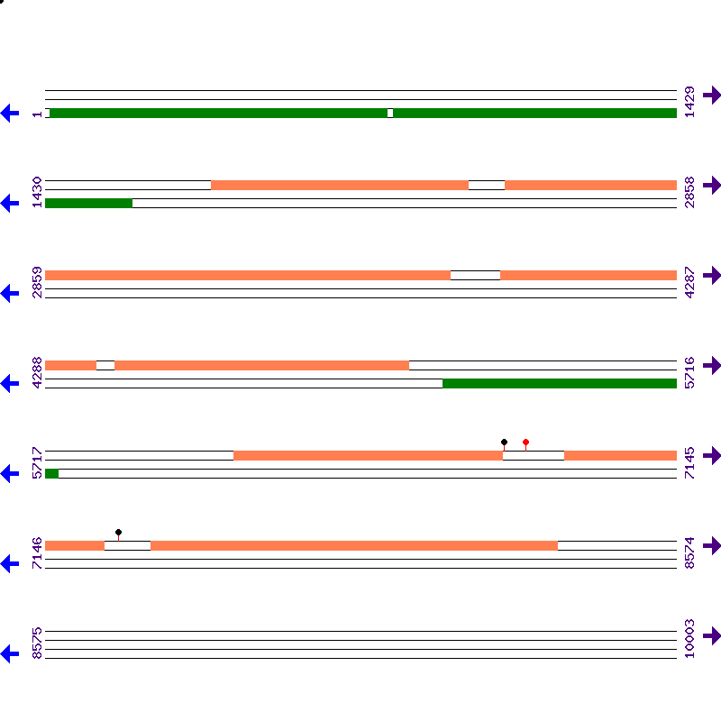 Genome View