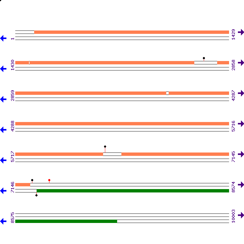 Genome View