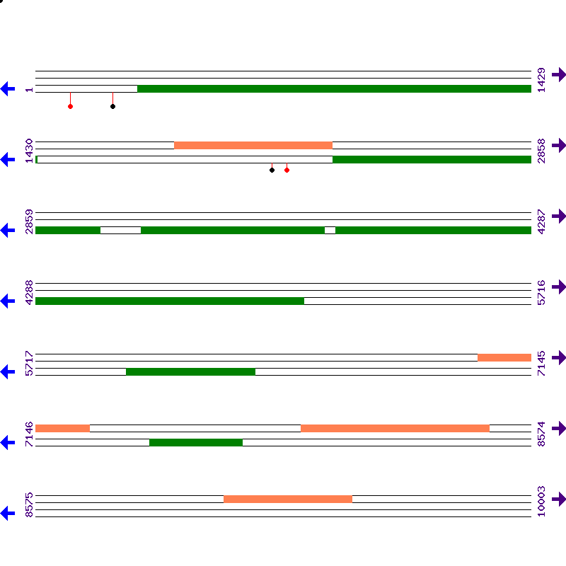 Genome View