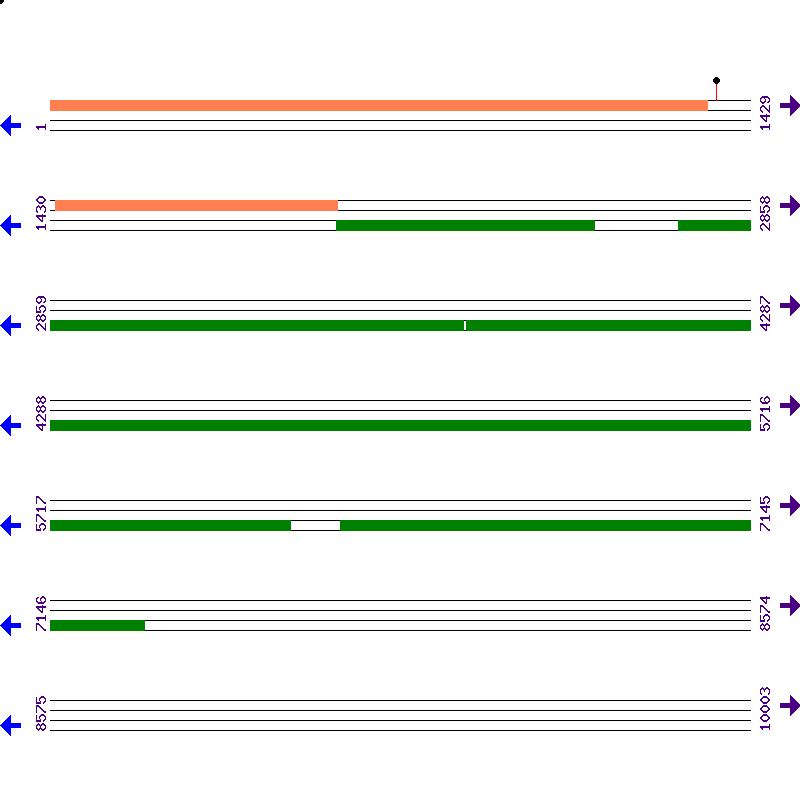 Genome View