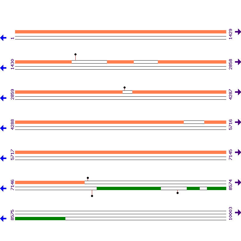 Genome View