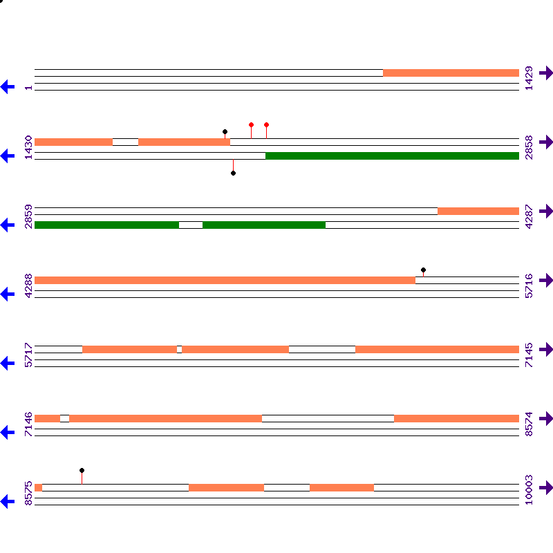 Genome View