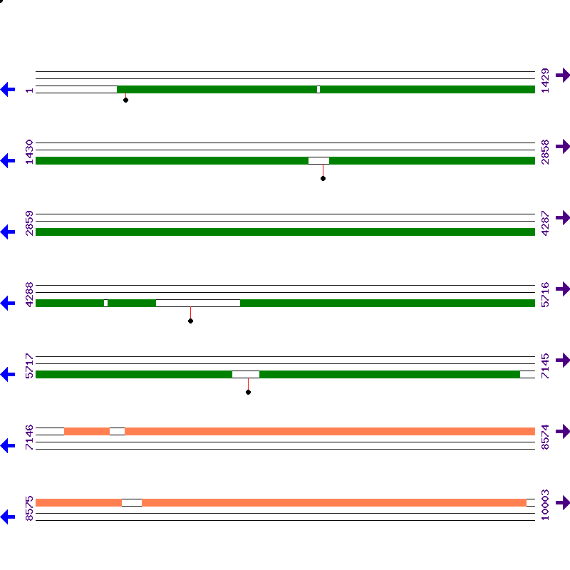 Genome View