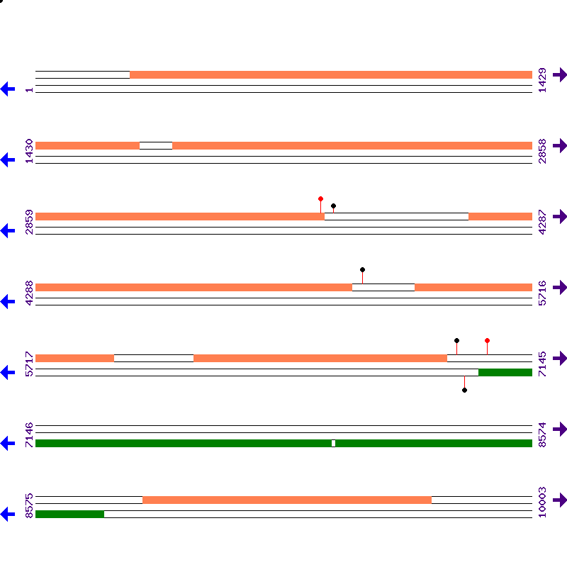 Genome View
