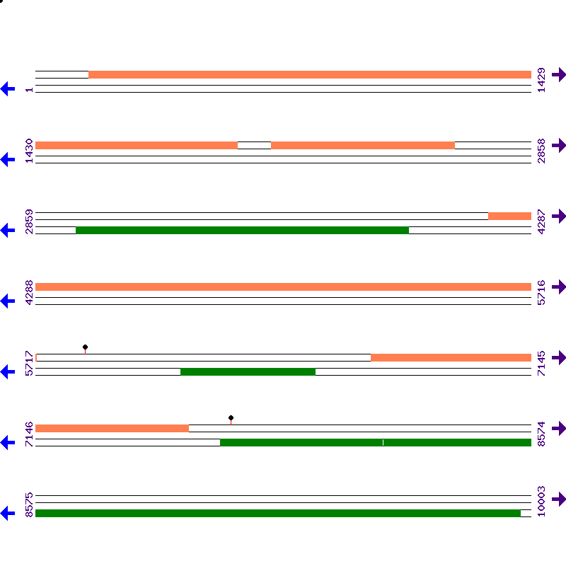 Genome View