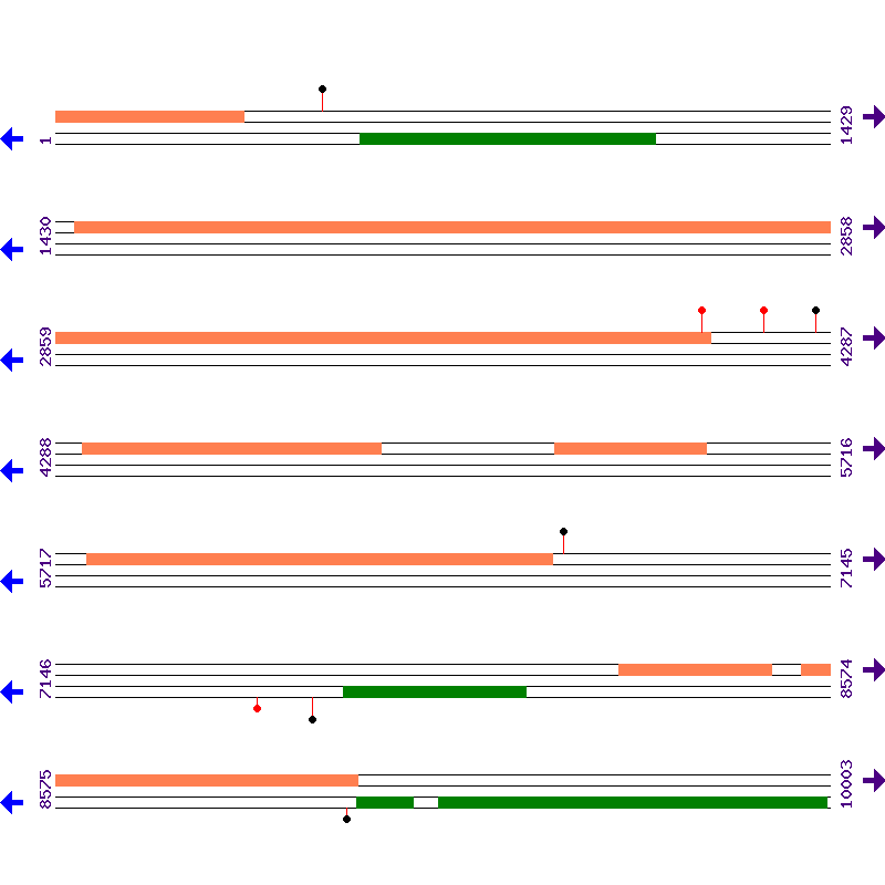 Genome View