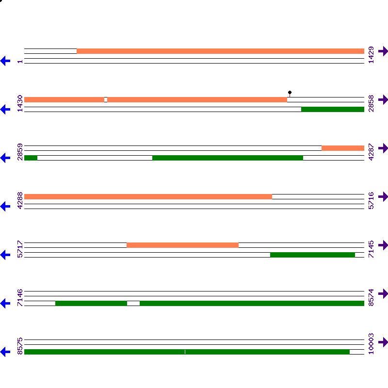 Genome View