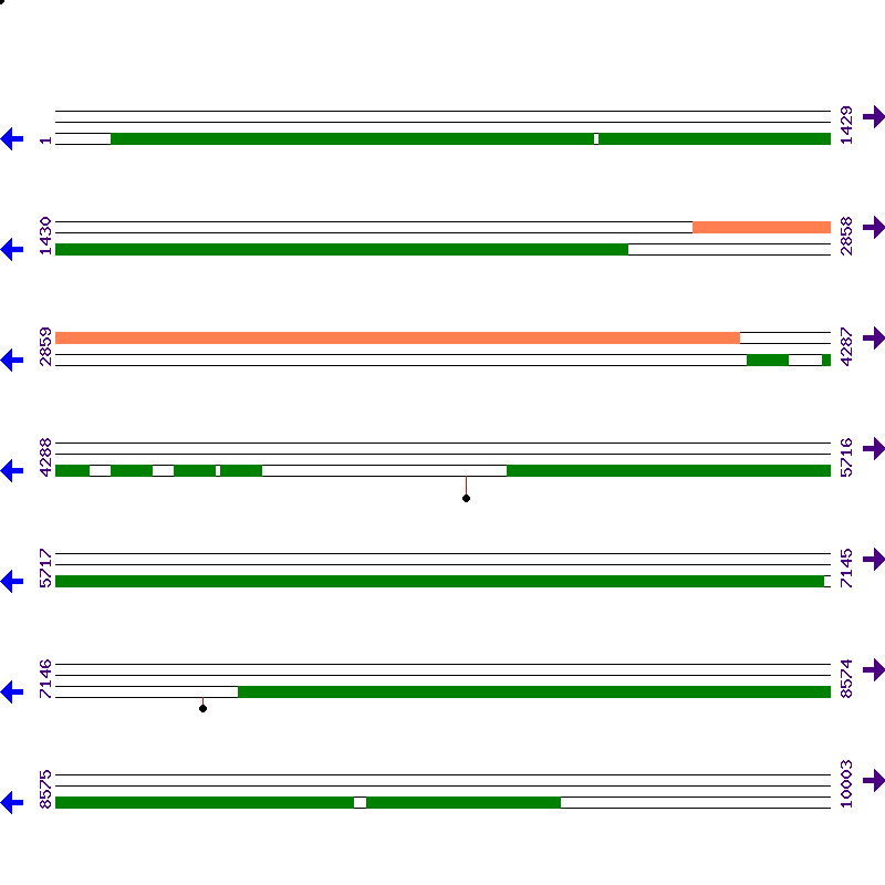 Genome View