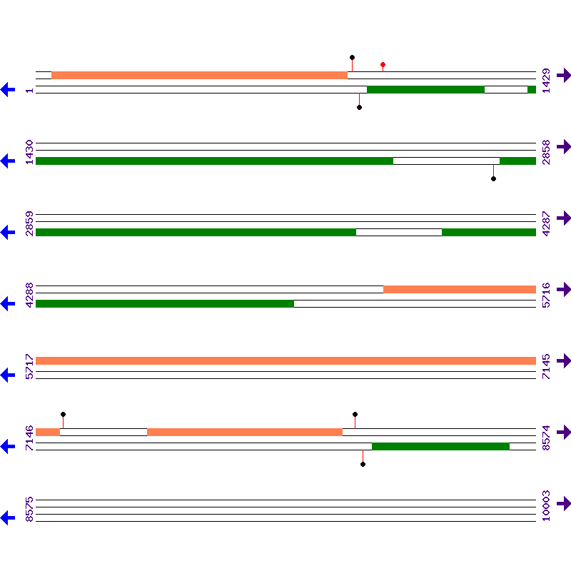 Genome View