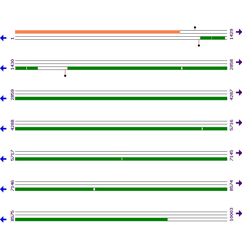 Genome View