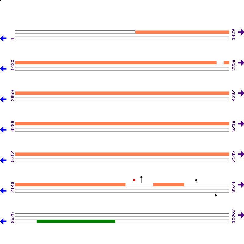 Genome View