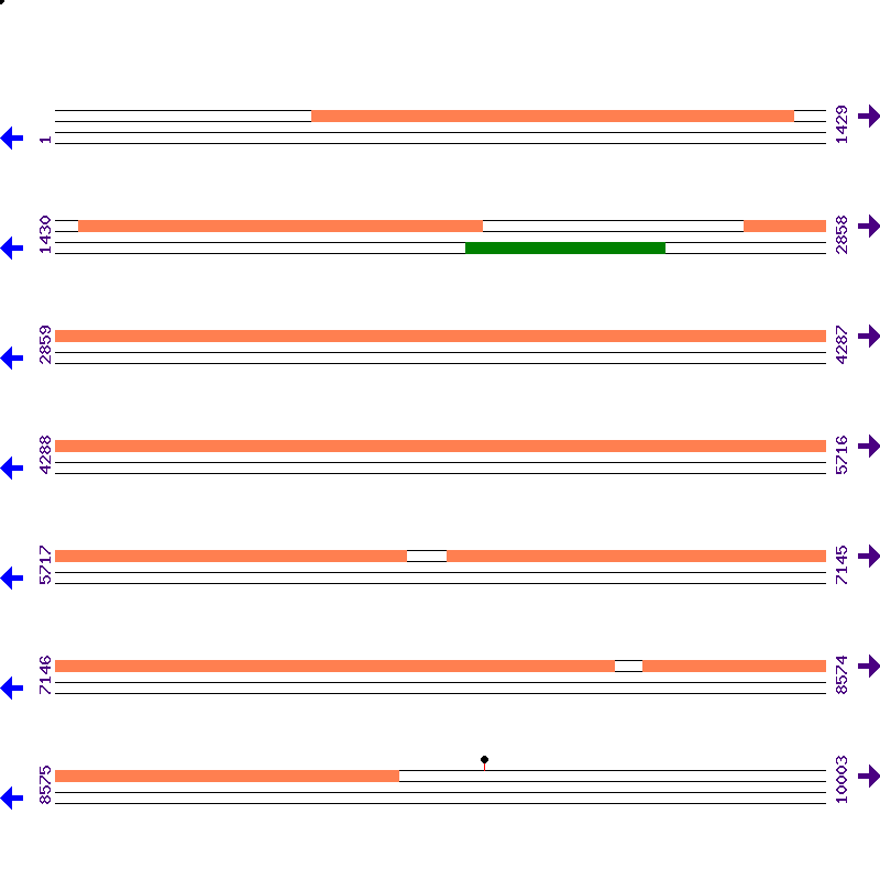 Genome View