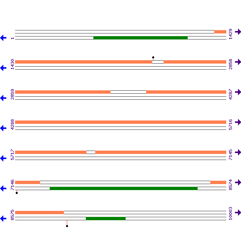 Genome View