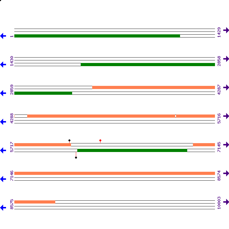 Genome View