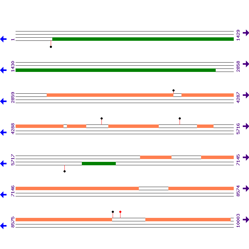 Genome View