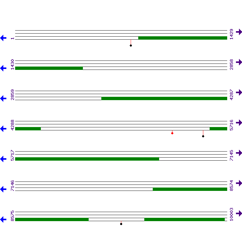 Genome View