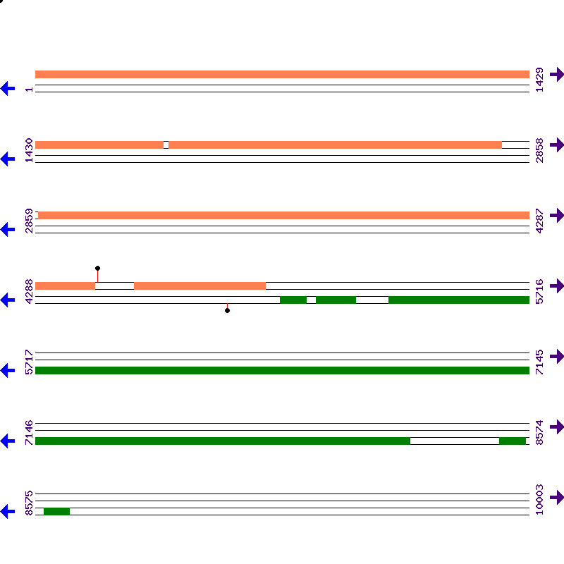 Genome View