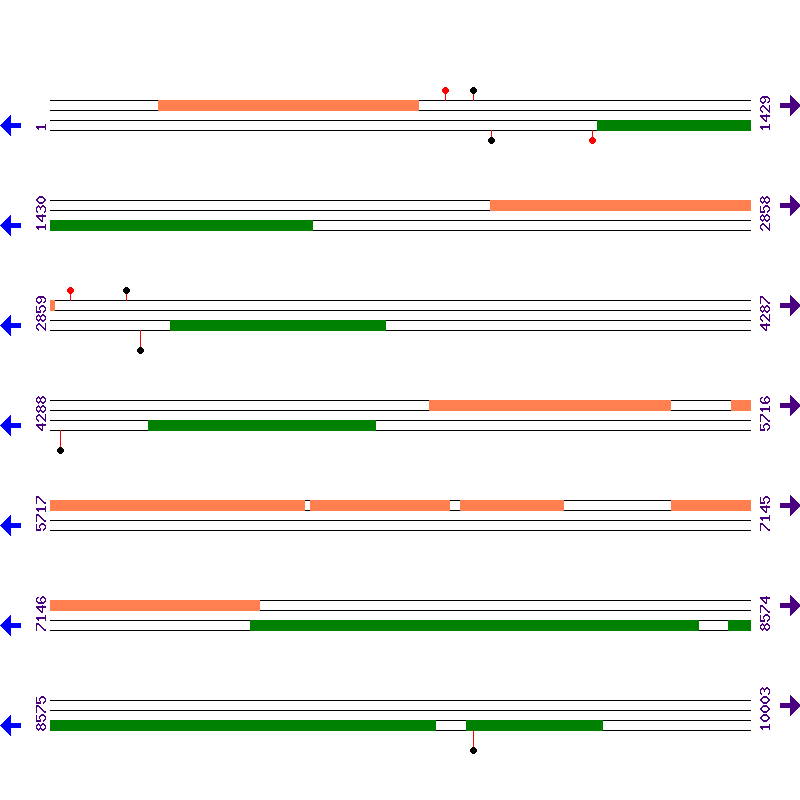 Genome View