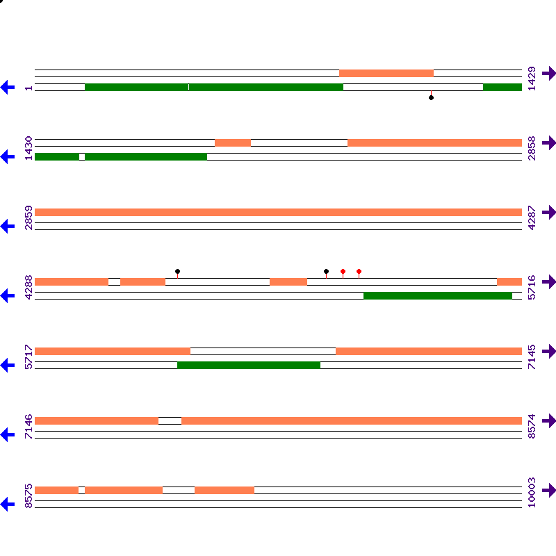 Genome View