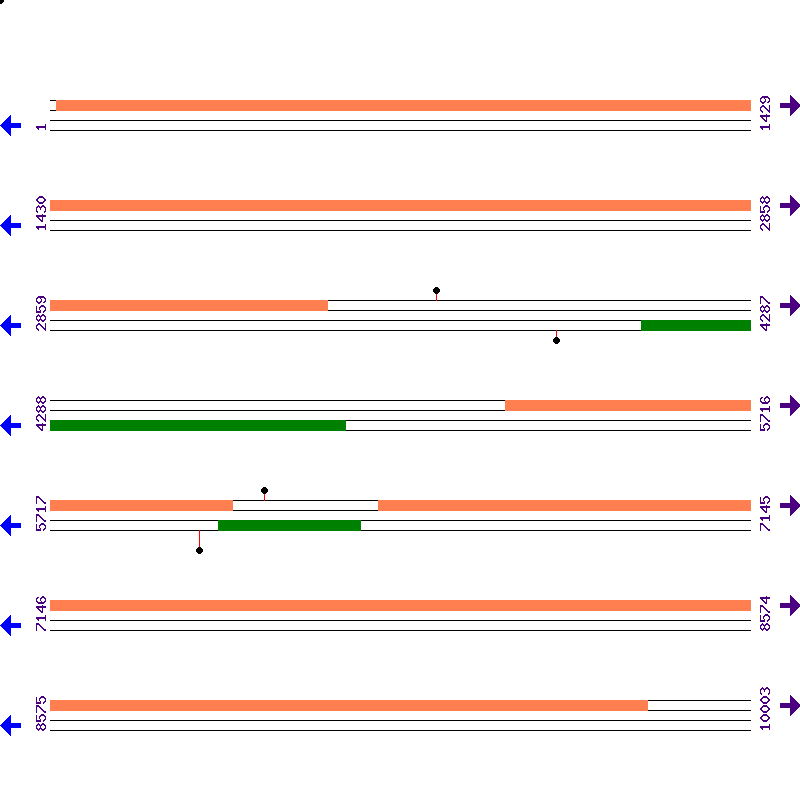 Genome View