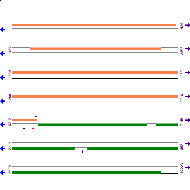Genome View