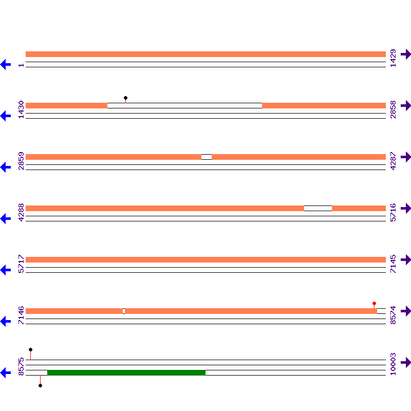 Genome View