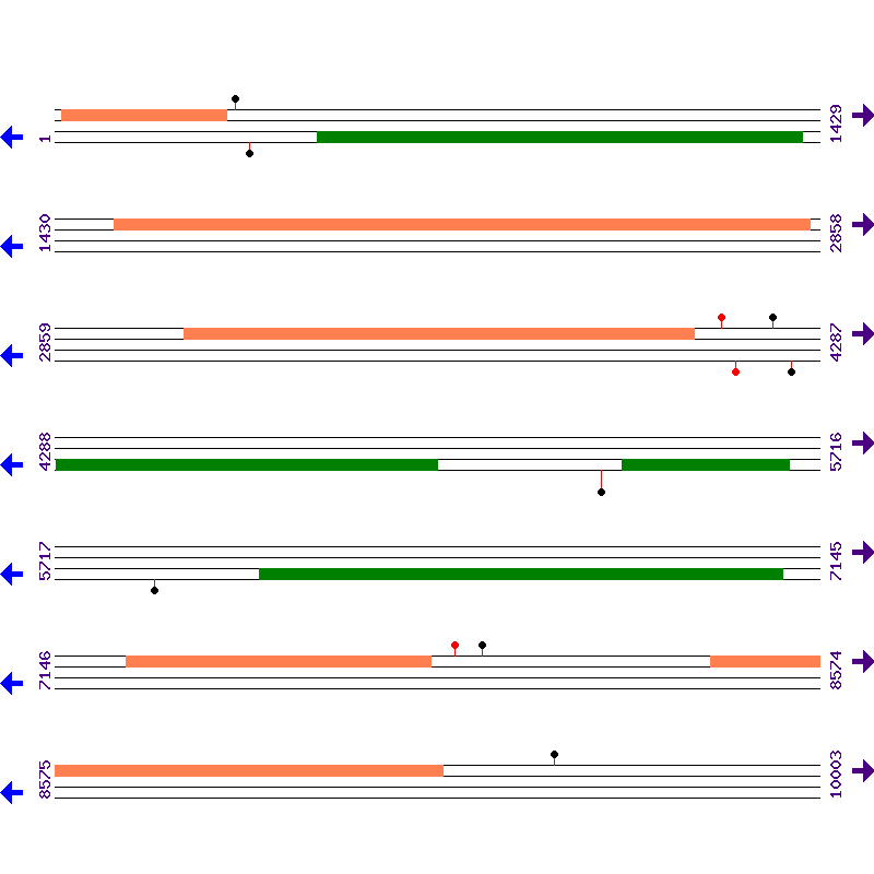 Genome View