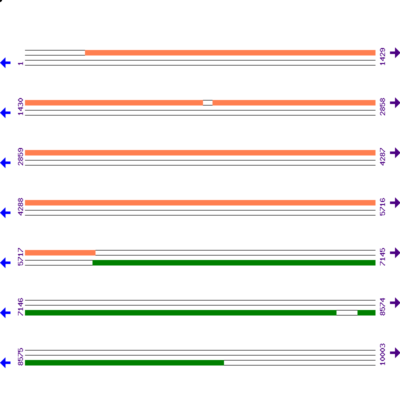 Genome View