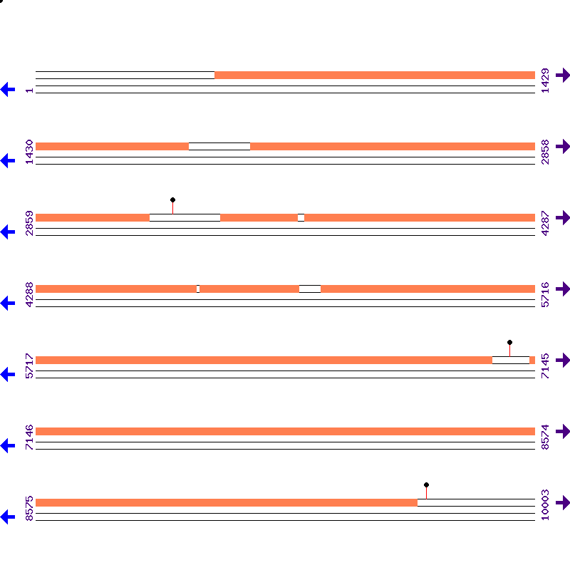 Genome View