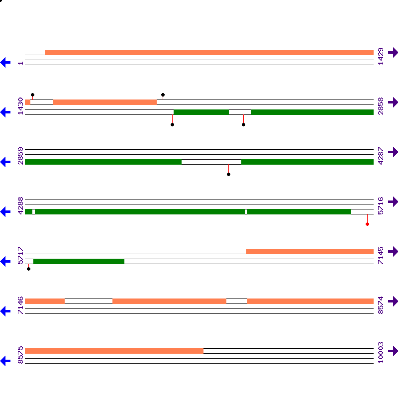 Genome View